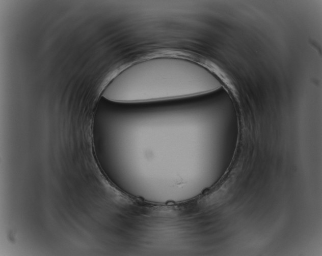 X0000093361049200710111305