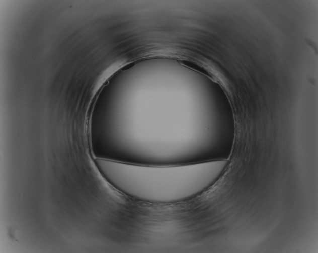 X0000093361050200710111305