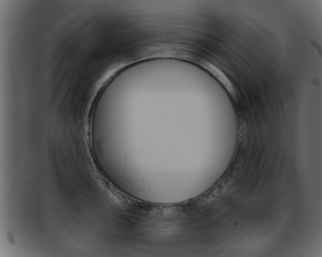 X0000093361051200710111305