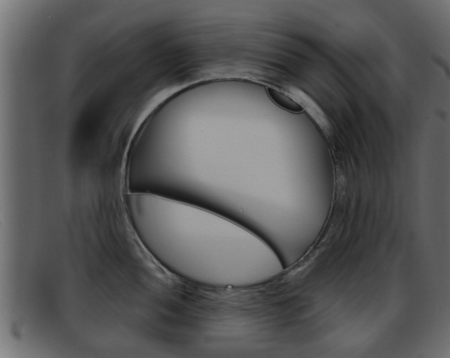 X0000093361052200710111305