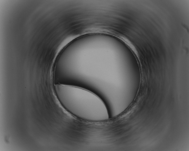 X0000093361053200710111305