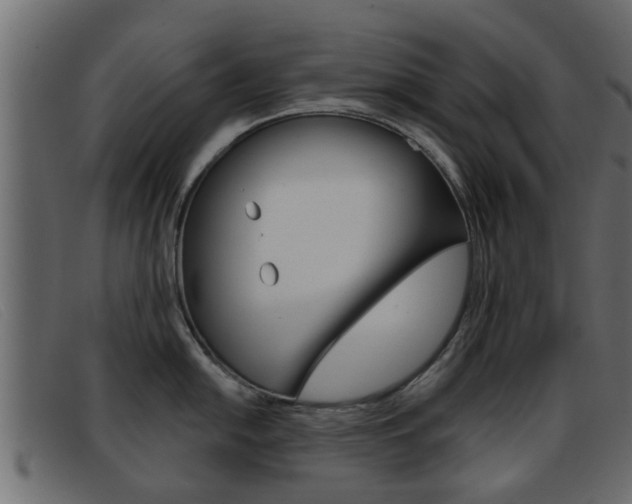 X0000093361054200710111305