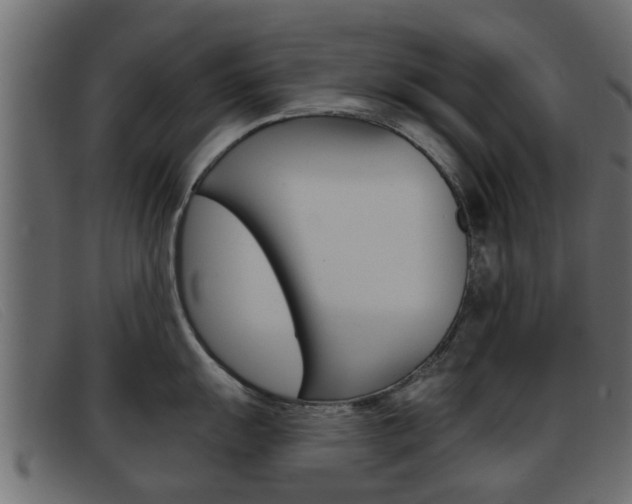 X0000093361055200710111305
