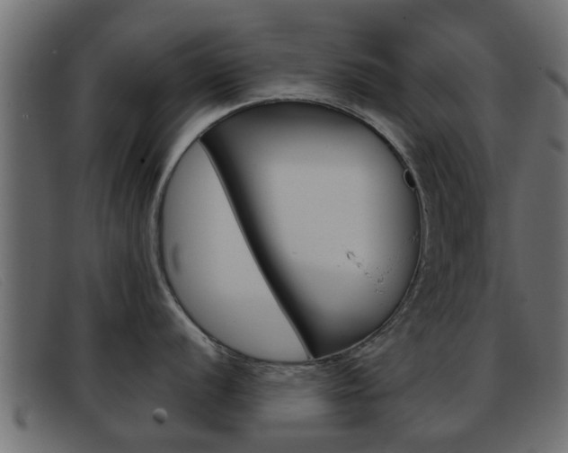 X0000093361056200710111305