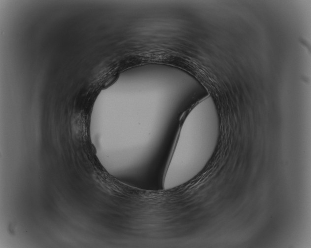 X0000093361058200710111304