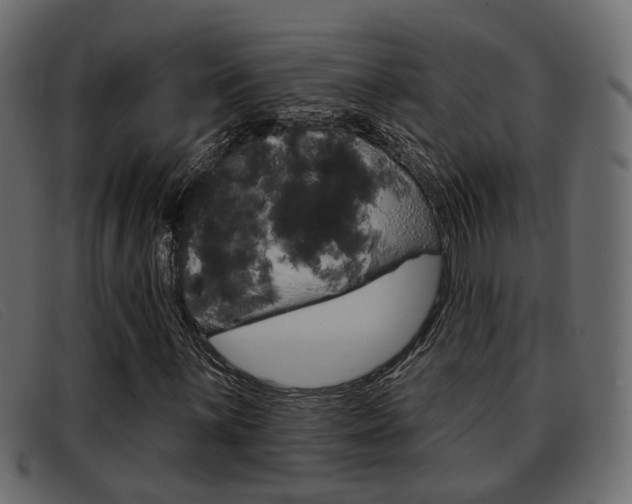 X0000093361059200710111304