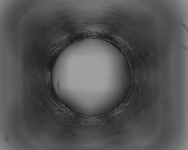 X0000093361061200710111304