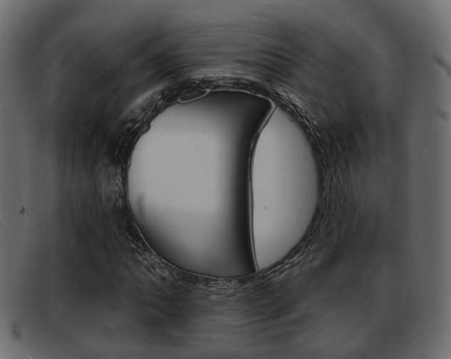 X0000093361062200710111304