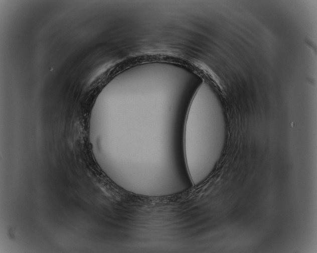 X0000093361064200710111304
