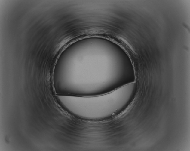 X0000093361065200710111304