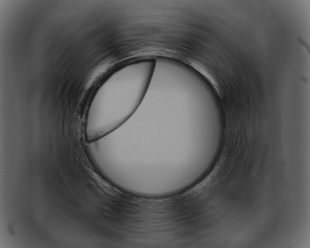 X0000093361067200710111304