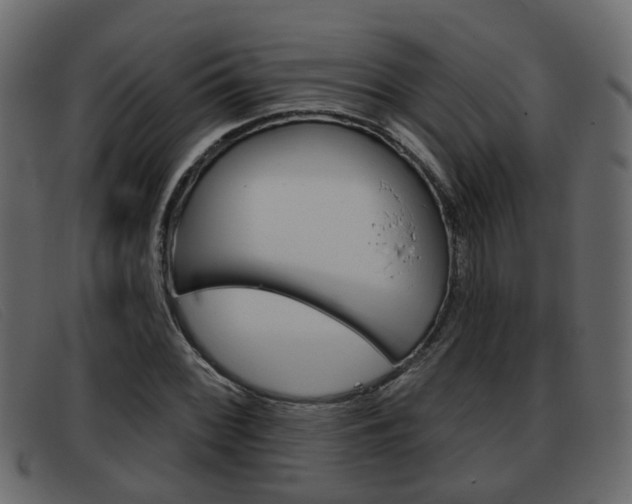 X0000093361068200710111304