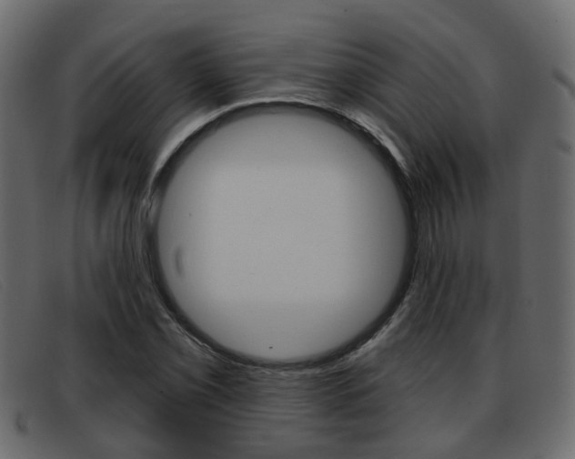 X0000093361069200710111304
