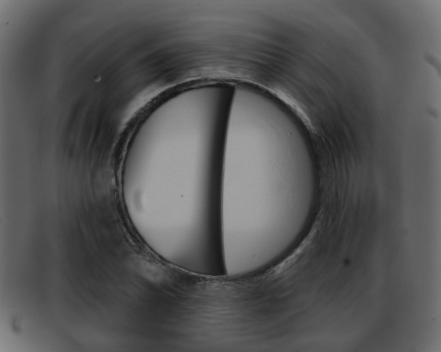 X0000093361070200710111304