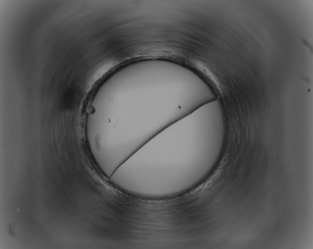 X0000093361071200710111304