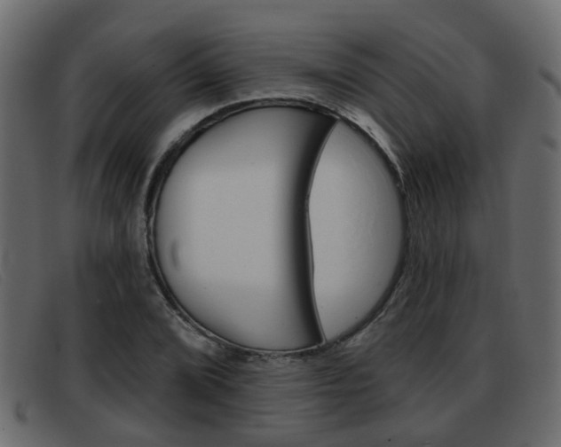 X0000093361072200710111304