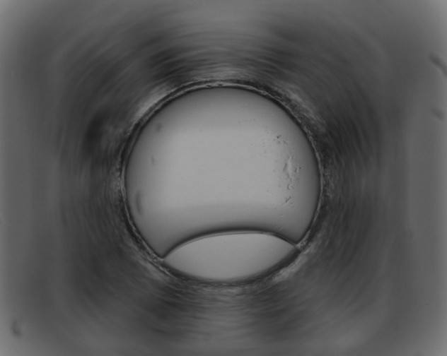 X0000093361073200710111304
