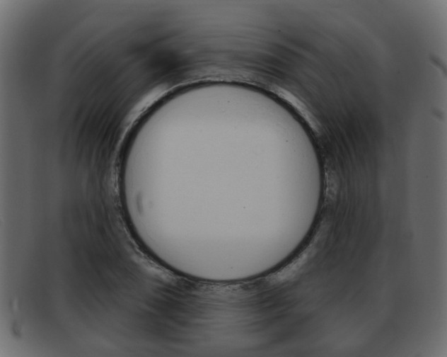X0000093361074200710111304