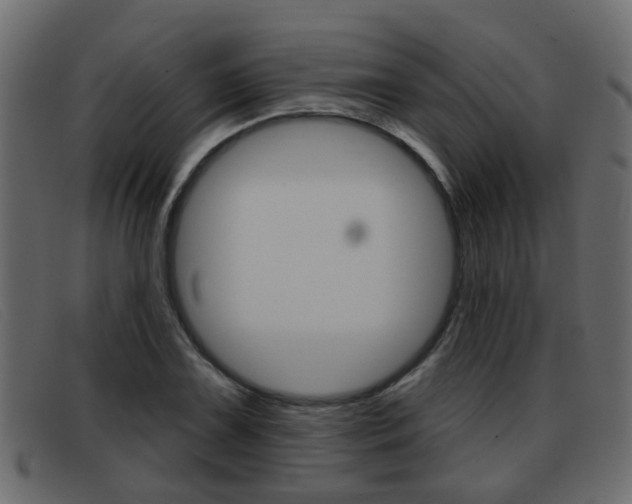 X0000093361075200710111304