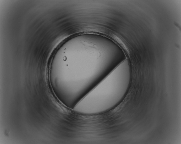 X0000093361076200710111304