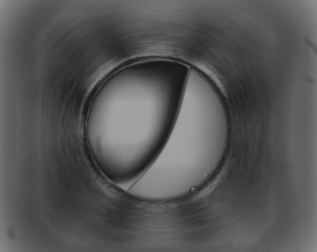 X0000093361077200710111304