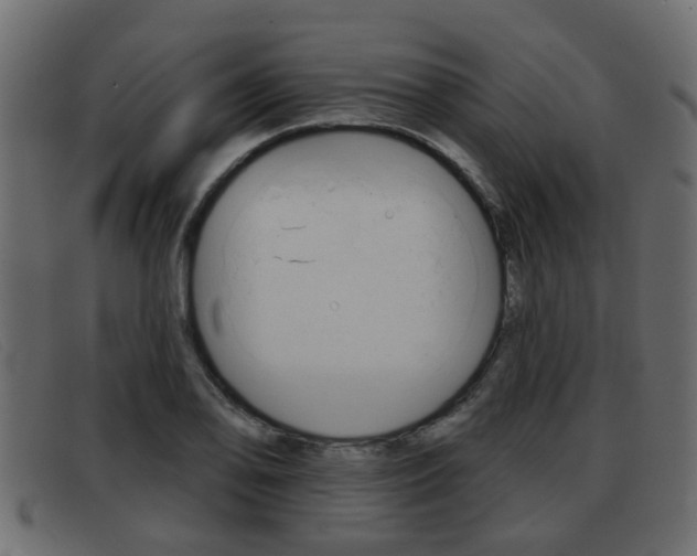X0000093361078200710111304