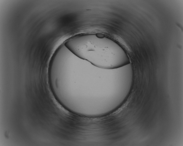 X0000093361079200710111304