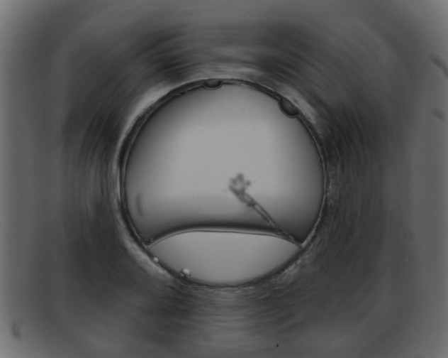 X0000093361080200710111304