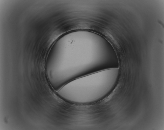 X0000093361081200710111304