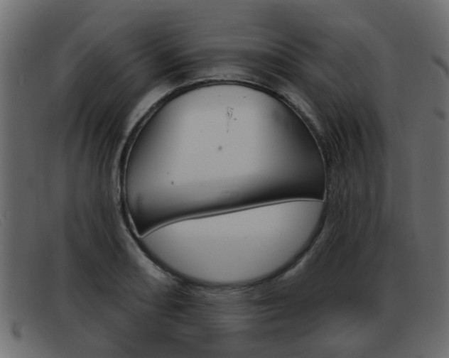 X0000093361082200710111304