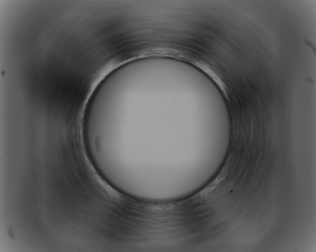 X0000093361083200710111304