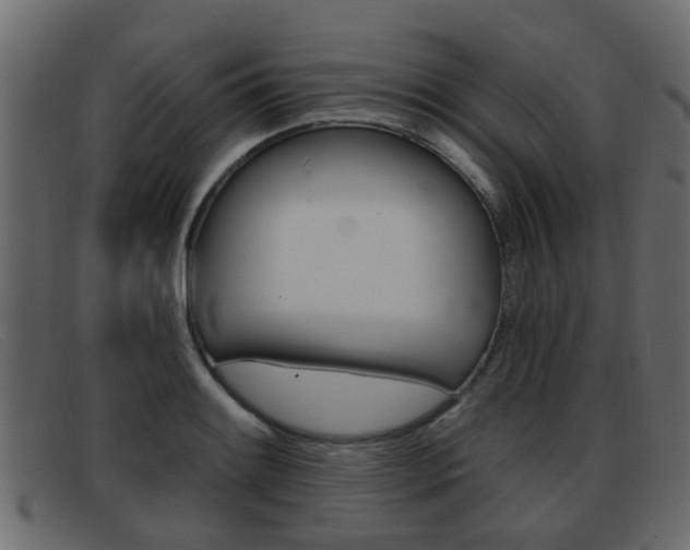 X0000093361084200710111304