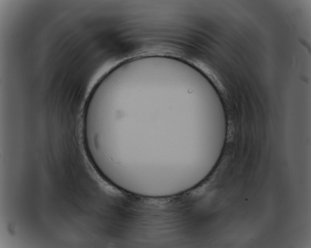X0000093361086200710111304