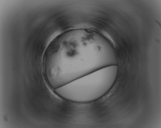 X0000093361087200710111304