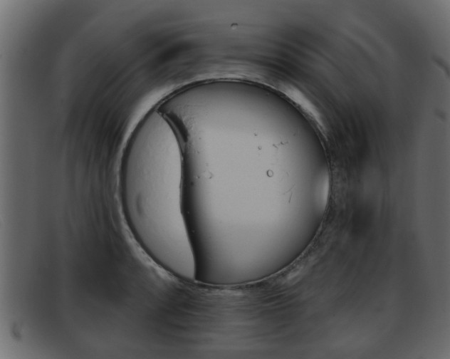 X0000093361088200710111304