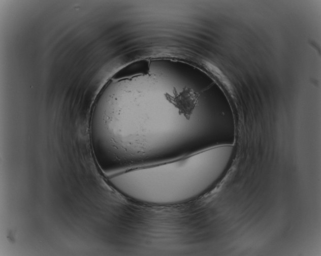 X0000093361089200710111304