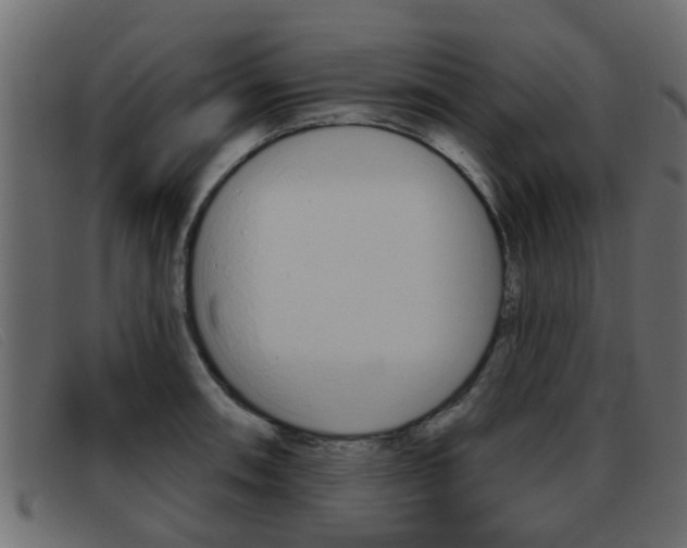 X0000093361090200710111304
