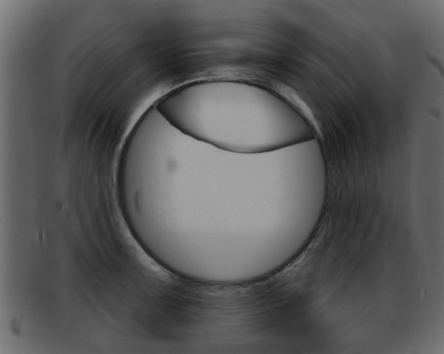 X0000093361091200710111304