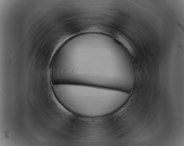 X0000093361092200710111304