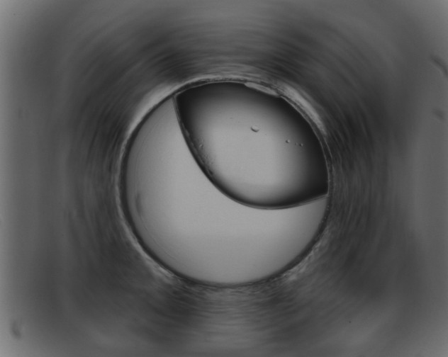 X0000093361093200710111304