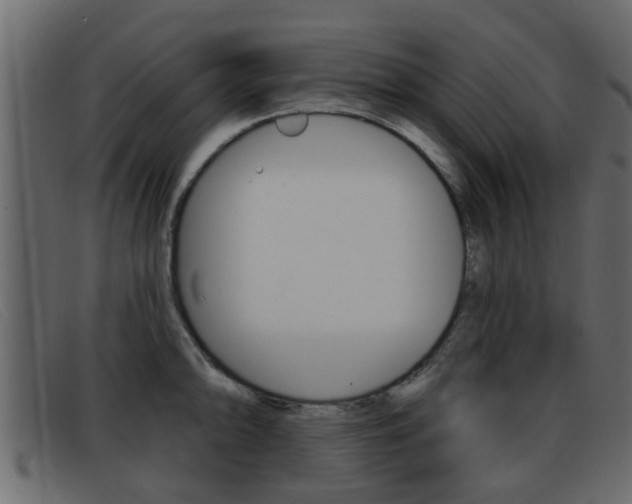 X0000093361094200710111304