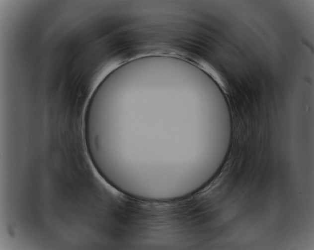 X0000093361095200710111304