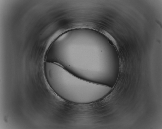 X0000093361096200710111304