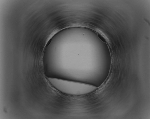 X0000093361097200710111304