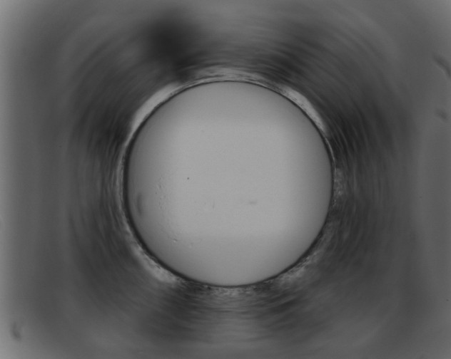 X0000093361098200710111304