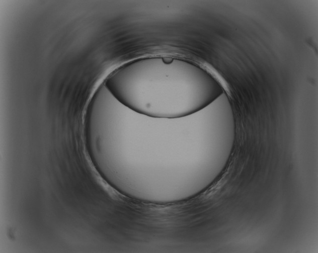 X0000093361099200710111304