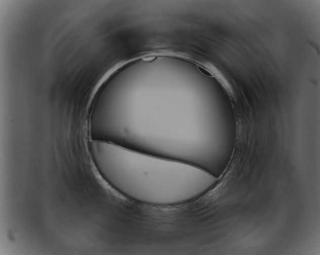 X0000093361100200710111304