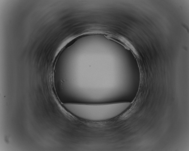X0000093361101200710111304
