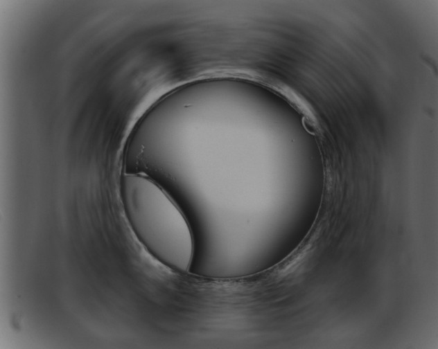 X0000093361102200710111304
