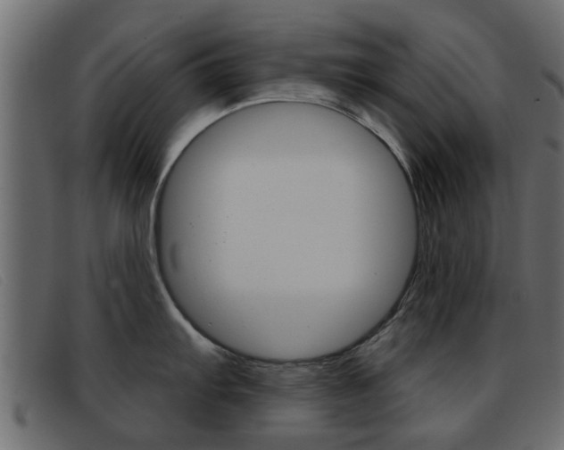 X0000093361103200710111304